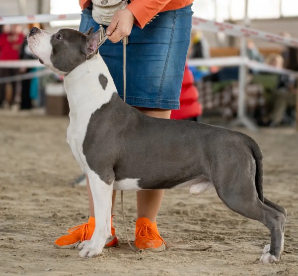 Стайл Смайл Цвет Неба